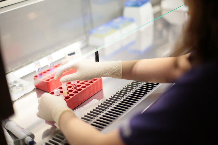 What is an embryologist?