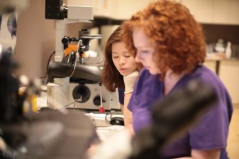 G21C6430 Fertility First - Laboratory