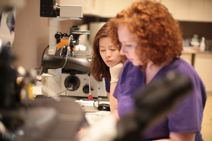 Fertility First - Laboratory