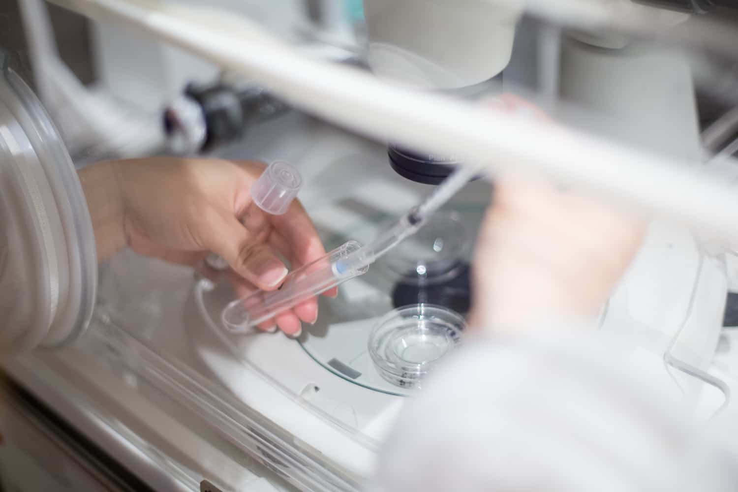 Testing for sperm DNA damage