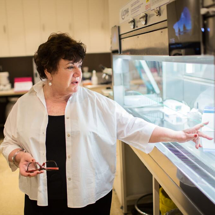 Dr Anne Clark