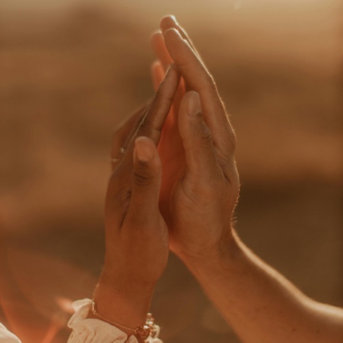 Connecting parents of donor-conceived children with other families who share the same donor