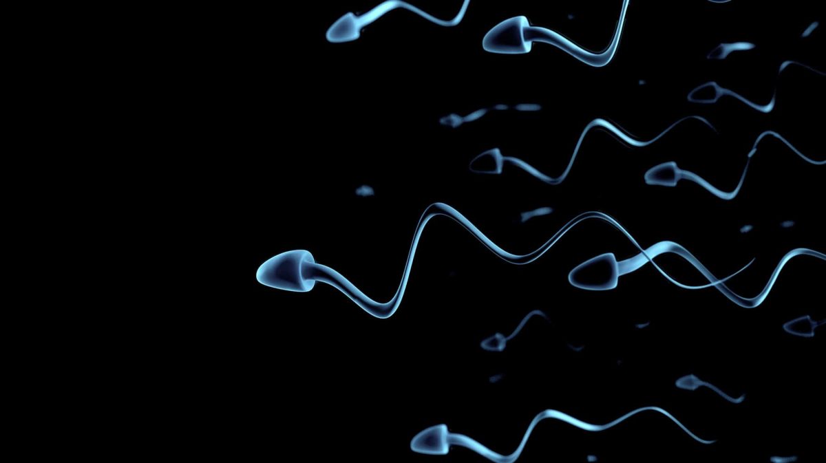 sperm-travelling-left